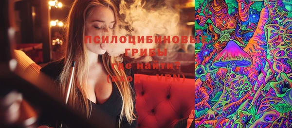 прущие крисы Беломорск