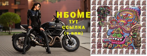 Альфа ПВП Белокуриха