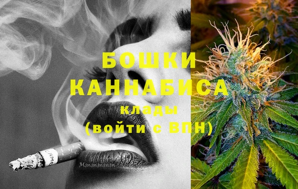 Альфа ПВП Белокуриха