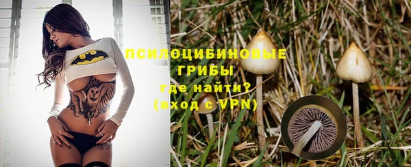 Альфа ПВП Белокуриха
