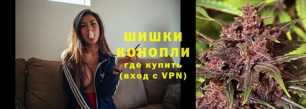 Альфа ПВП Белокуриха