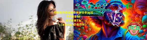 2c-b Белоозёрский