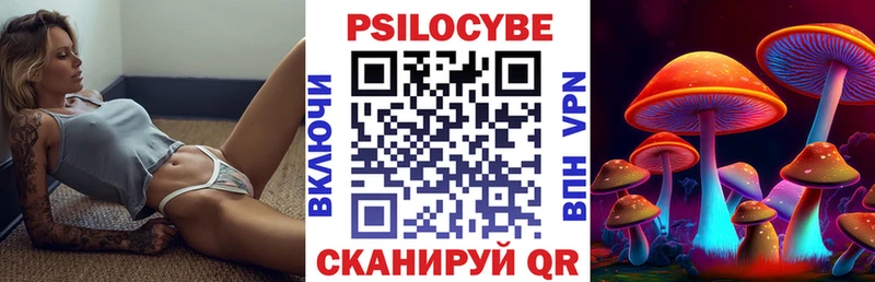 Купить  Гусиноозёрск  Псилоцибиновые грибы MAGIC MUSHROOMS 